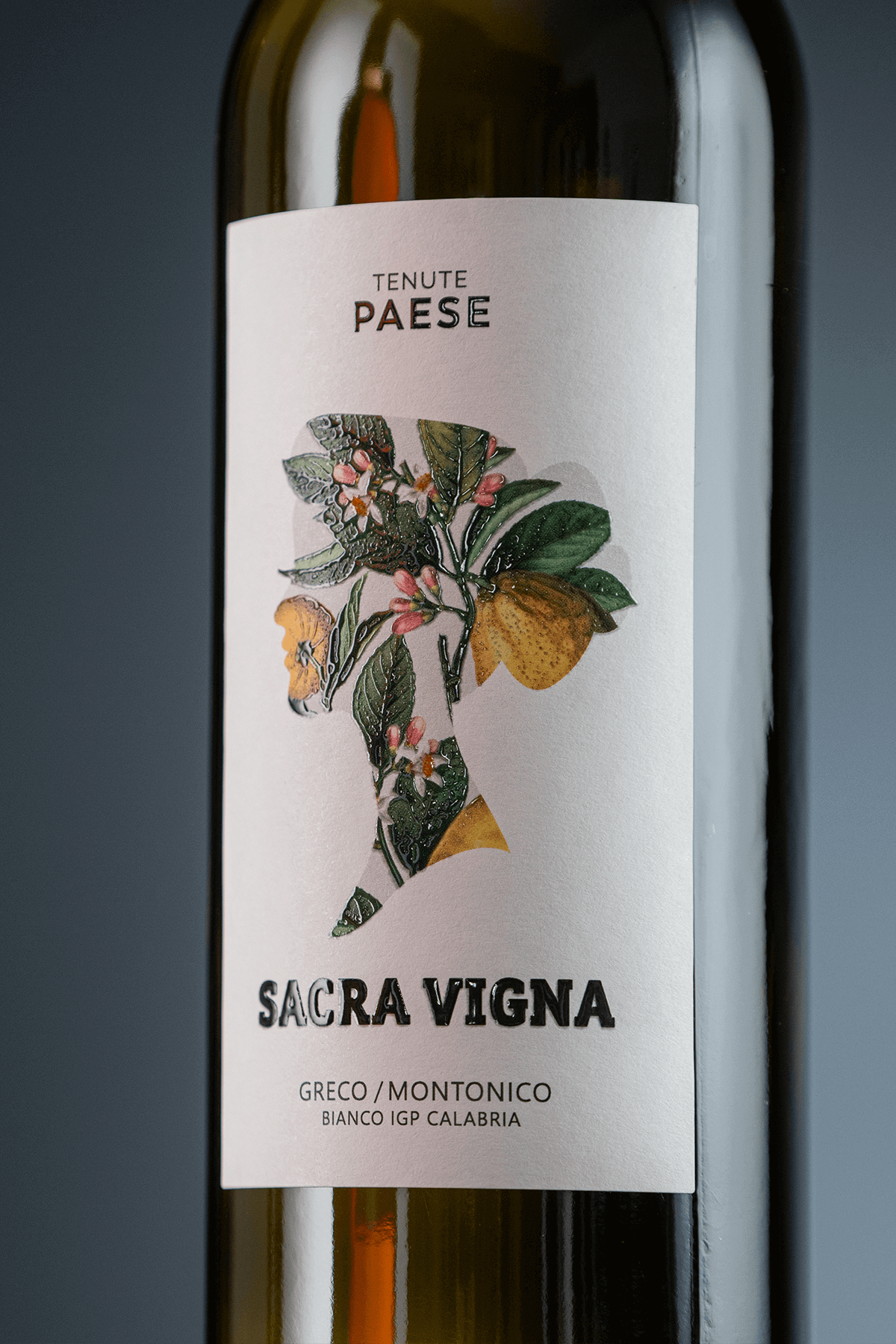 Studio La Regina - linea vini Tenute Paese - Sacra Vigna