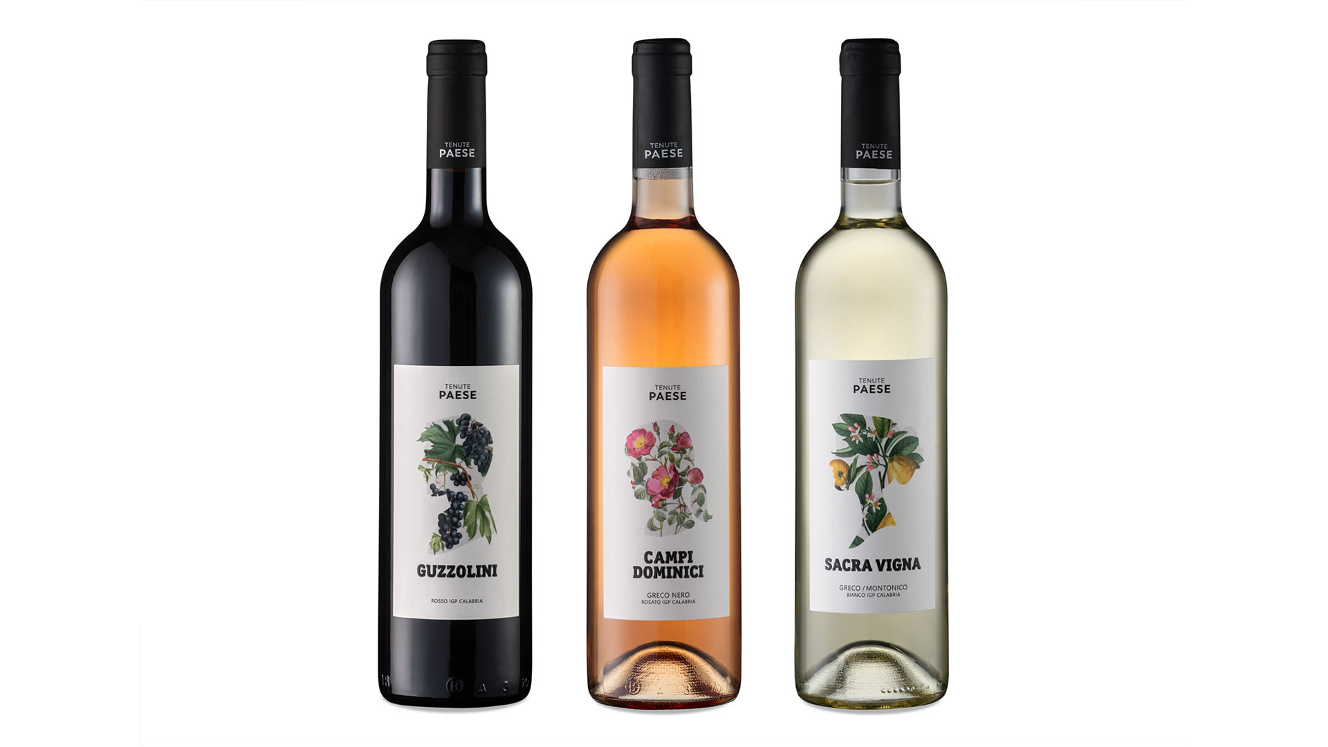 Studio La Regina - linea vini di Tenute Paese