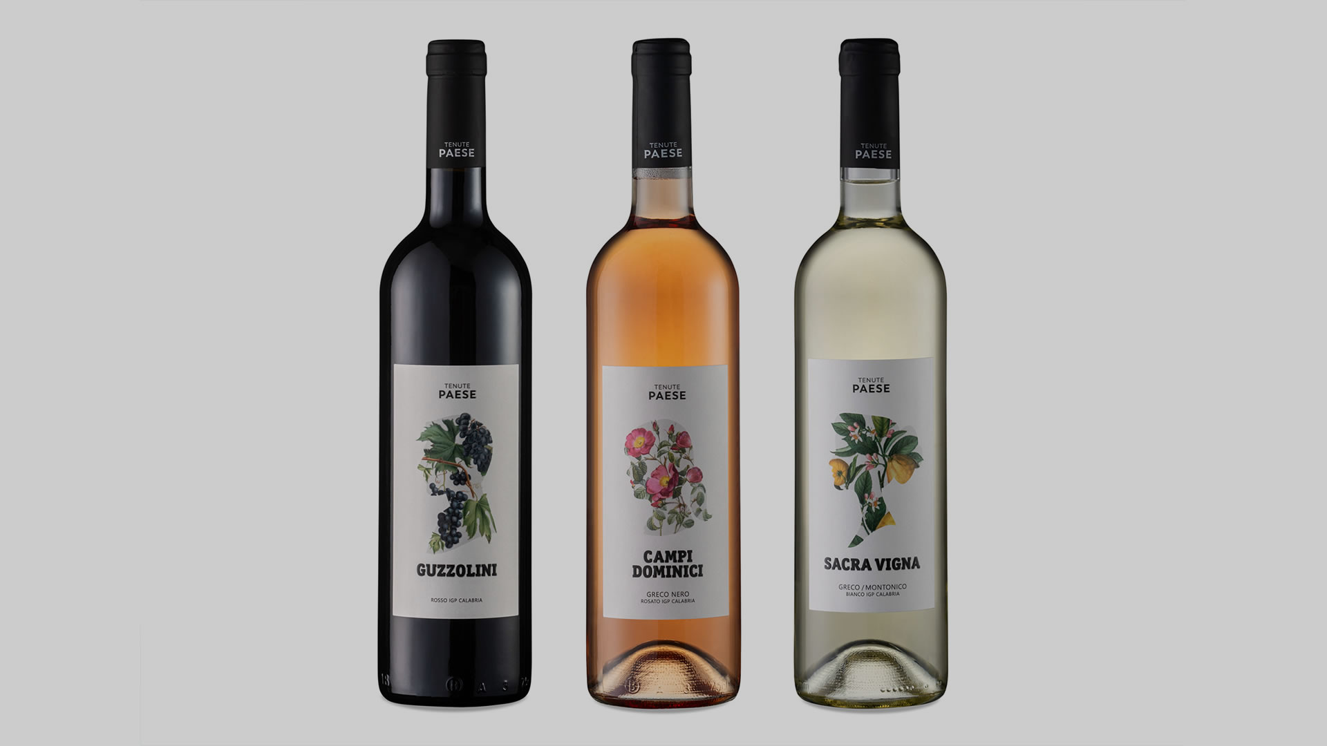 Studio La Regina - linea vini di Tenute Paese