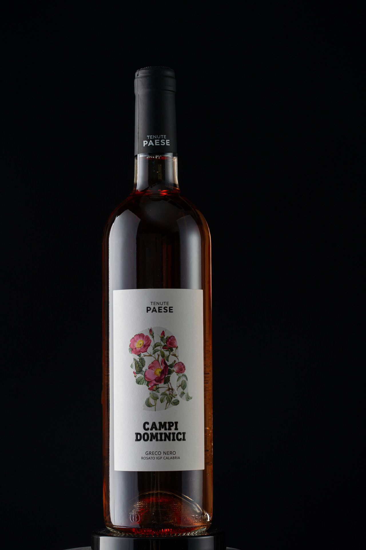 Studio La Regina - linea vini di Tenute Paese - Campi Dominici