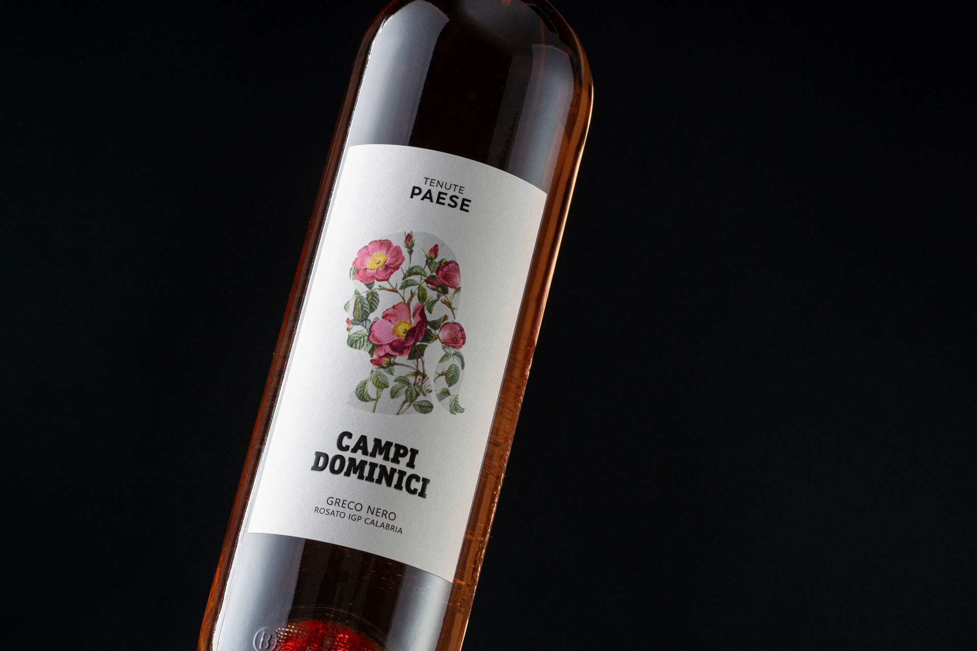 Studio La Regina - linea vini di Tenute Paese - Campi Dominici