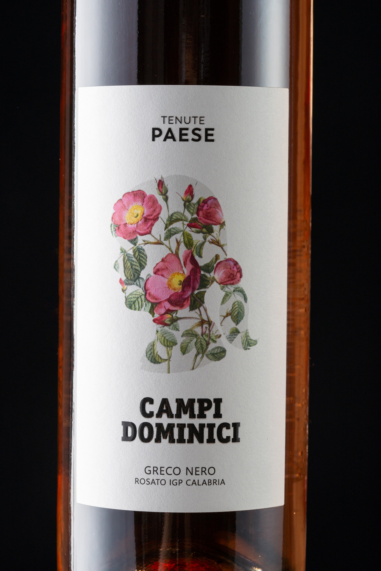 Studio La Regina - linea vini di Tenute Paese - Campi Dominici