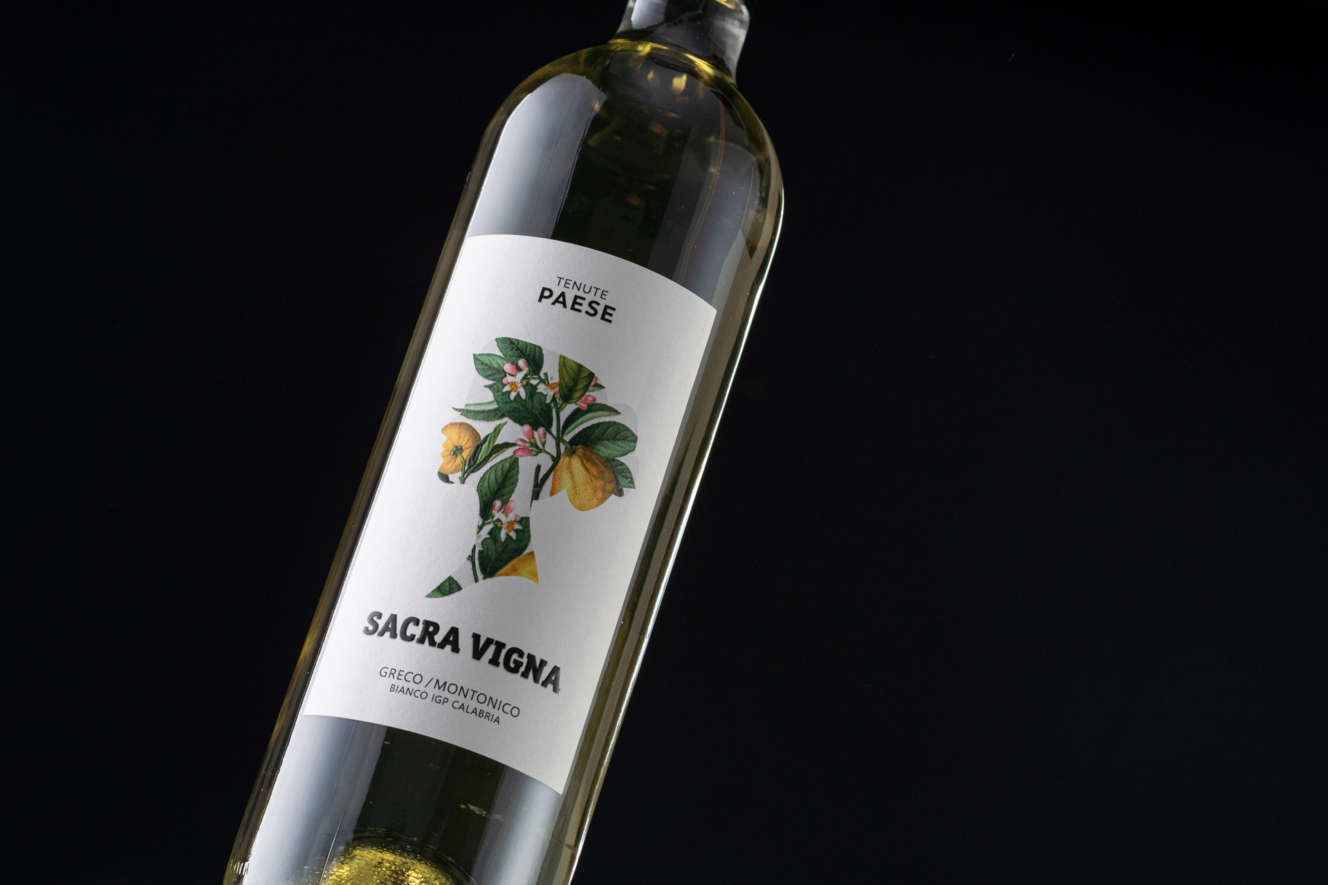 Studio La Regina - linea vini di Tenute Paese - Sacra Vigna