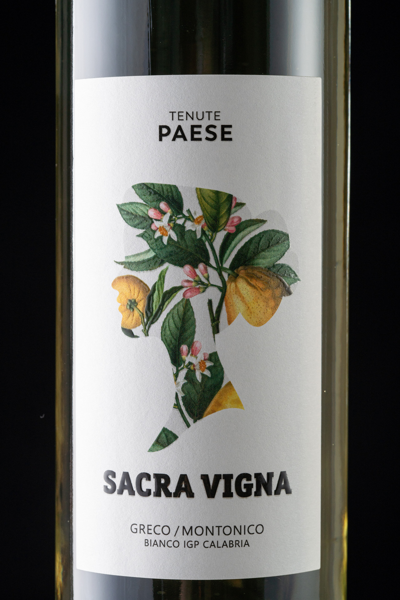 Studio La Regina - linea vini di Tenute Paese - Sacra Vigna