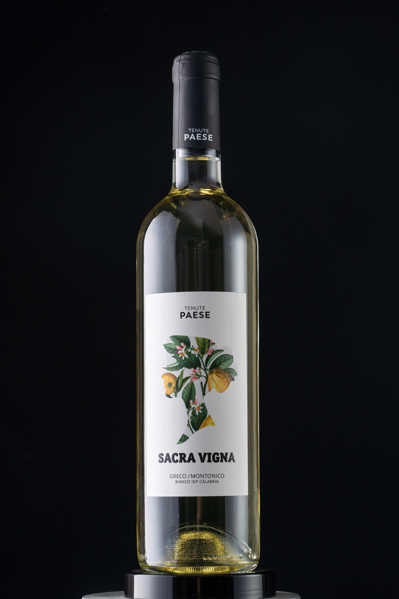 Studio La Regina - linea vini di Tenute Paese - Sacra Vigna