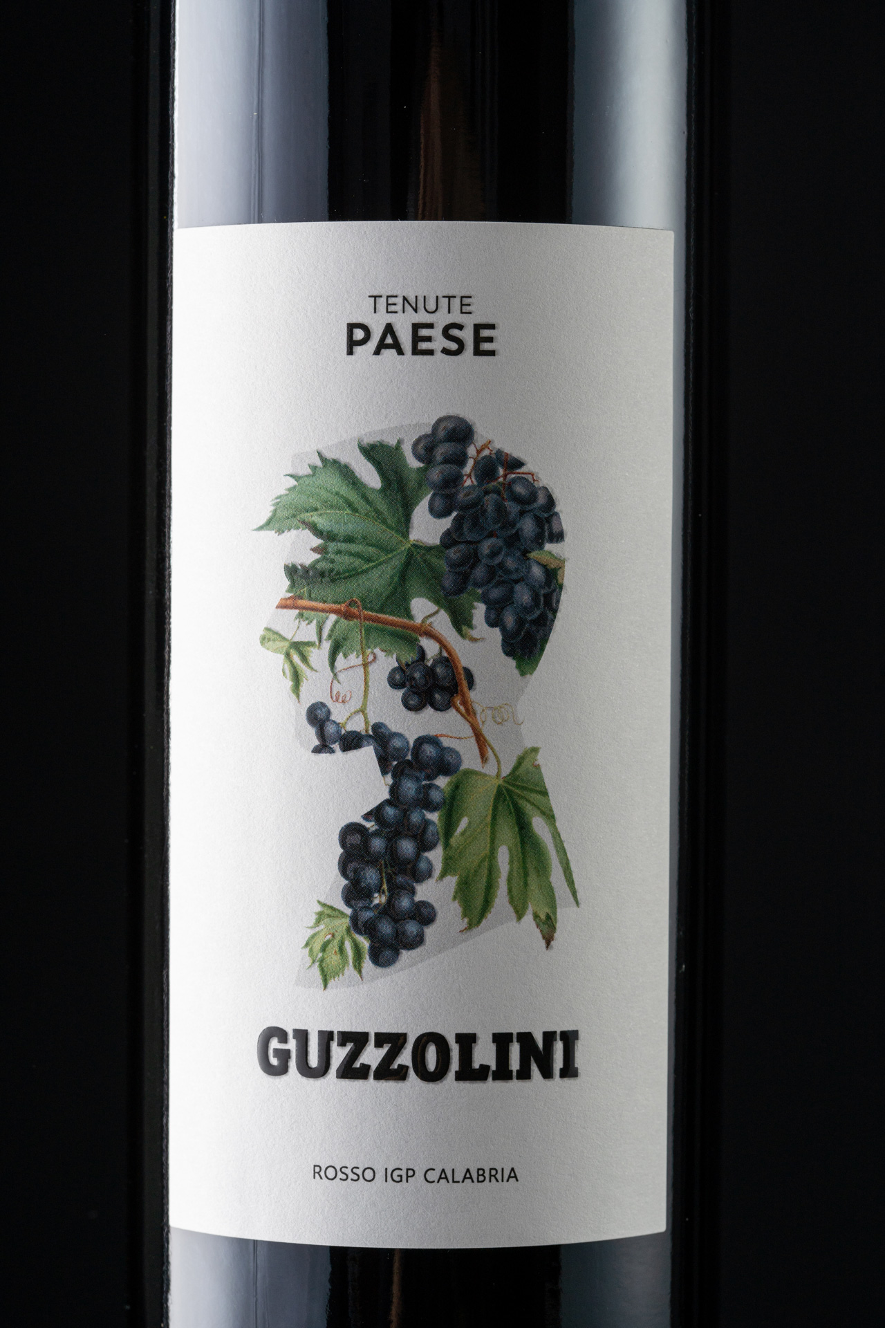 Studio La Regina - linea vini di Tenute Paese - Guzzolini