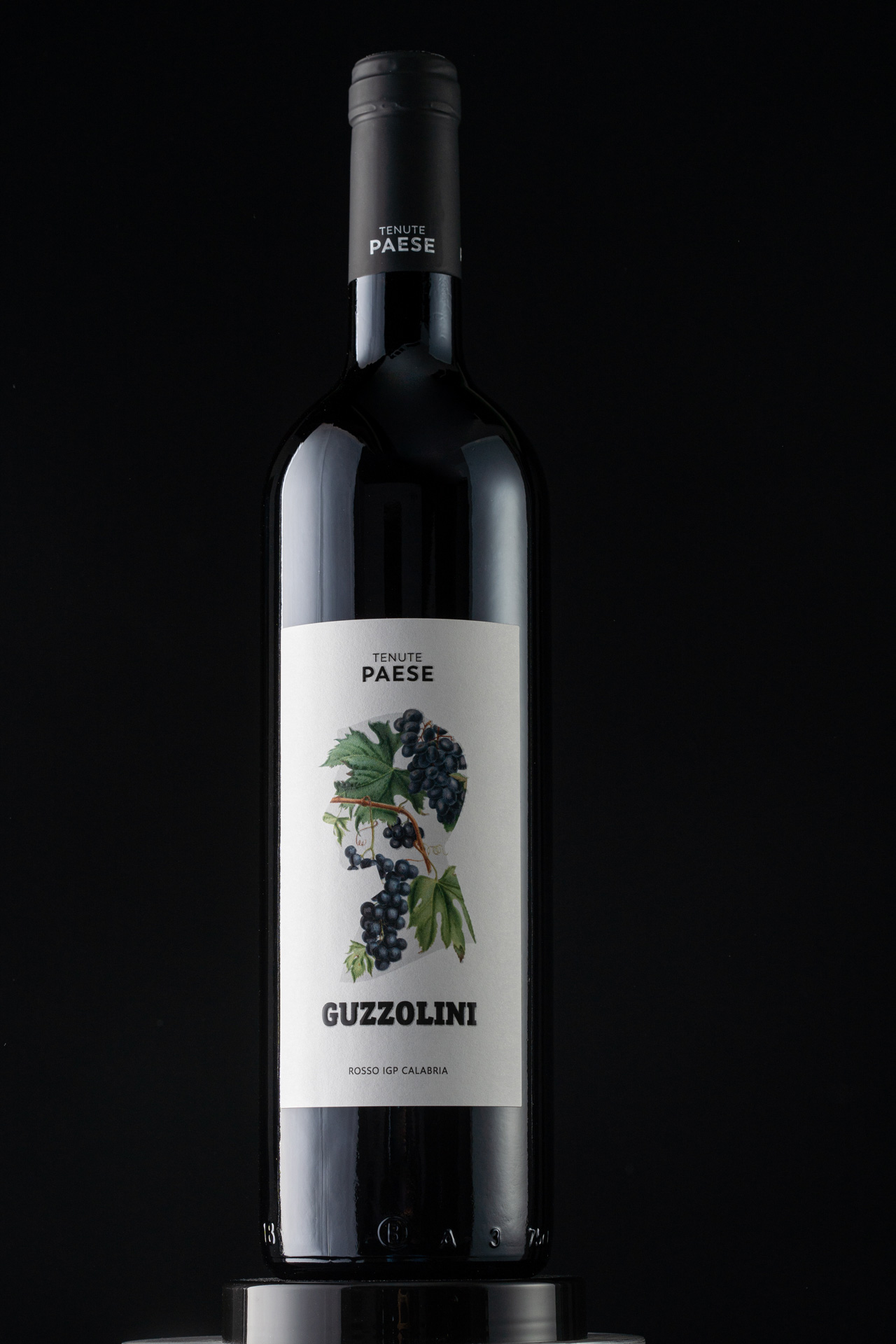 Studio La Regina - linea vini di Tenute Paese - Guzzolini