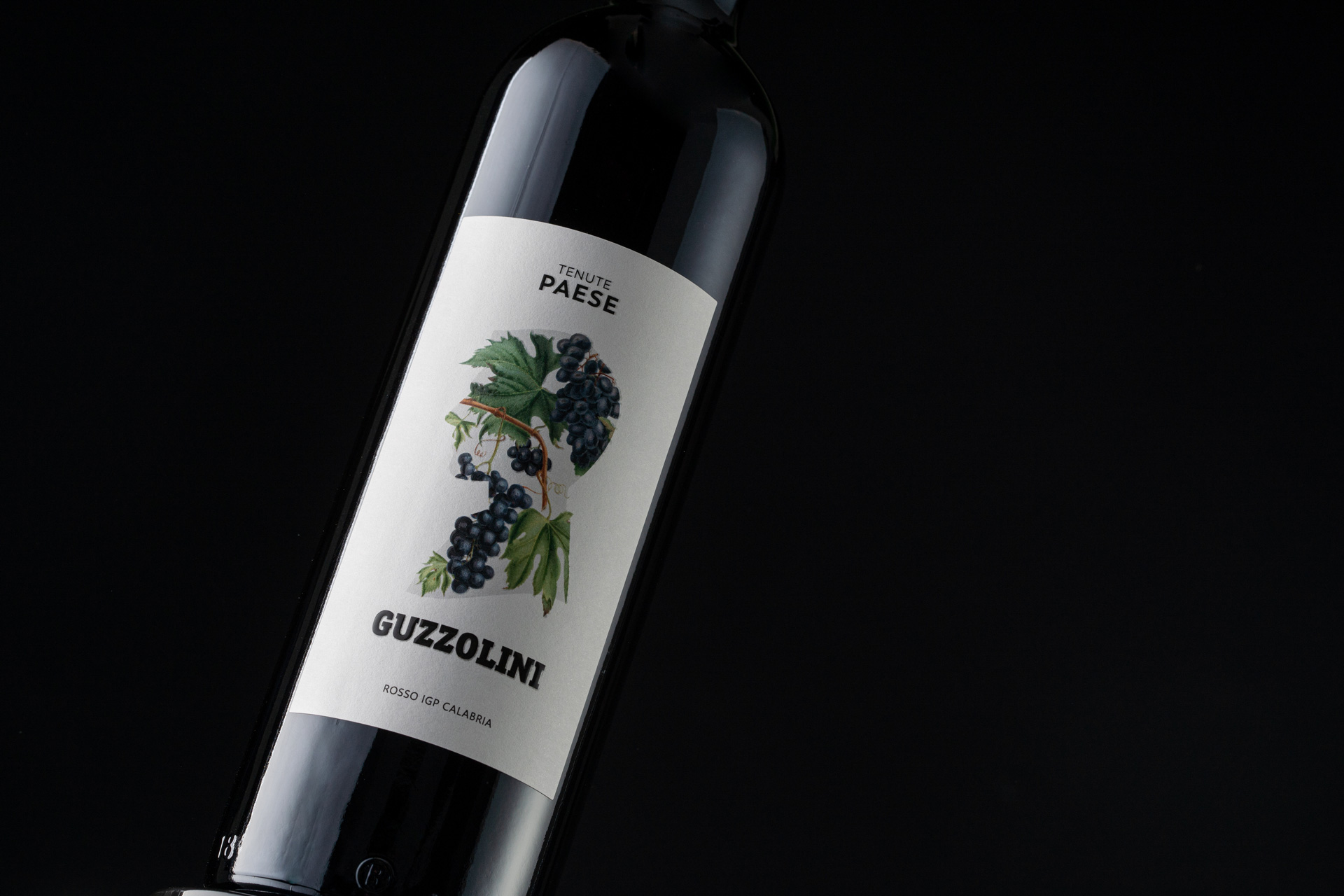 Studio La Regina - linea vini di Tenute Paese - Guzzolini