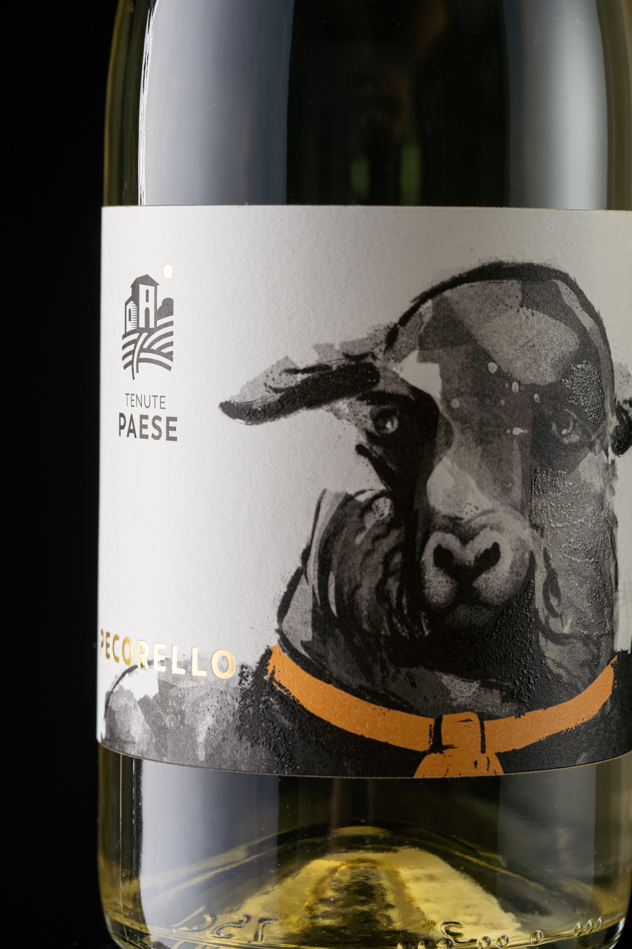 Studio La Regina - linea vini Zichinardi di Tenute Paese - Pecorello