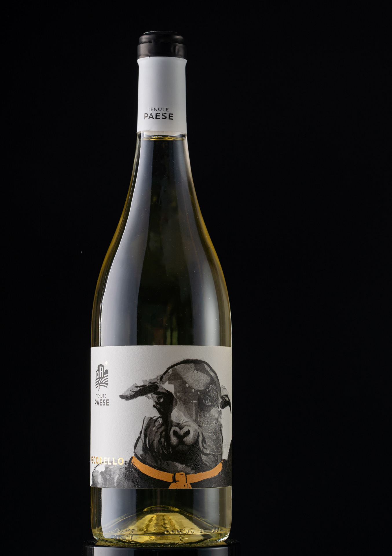 Studio La Regina - linea vini Zichinardi di Tenute Paese - Pecorello